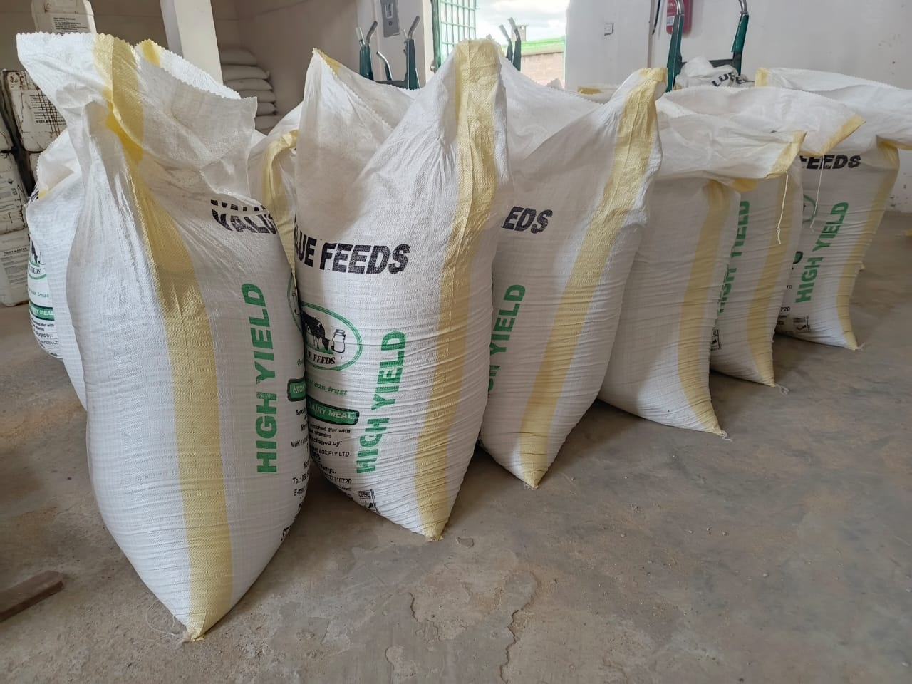 Processing